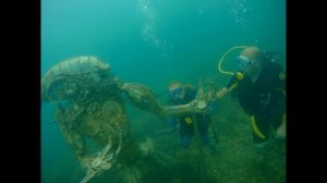 Чудовища на дне Черного моря недалеко от побережья Анапы. Нашли "Чужих" в Черном море.