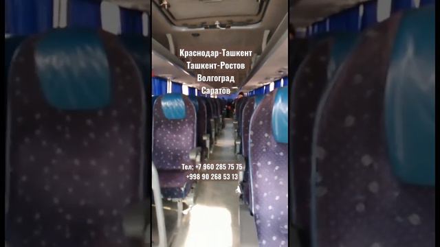 Ташкент Краснодар автобус, Краснодар Ташкент автобус, Ташкент Ростов автобус,Ташкент Саратов автобу