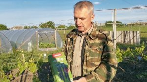Как отпугнуть недоброжелателей на садовом участке