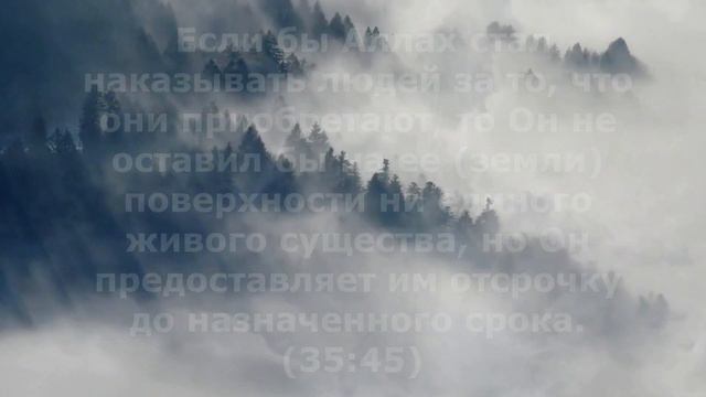 Разница между наказанием и испытанием.#ислам  #вопросответ