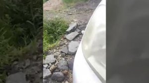 замена масла 1nz fe