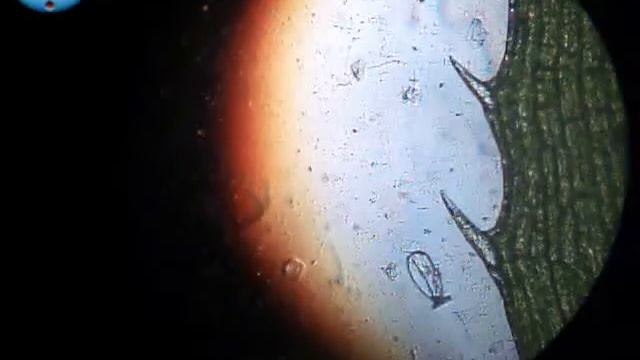 большой мир маленькой капли воды смотреть онлайн