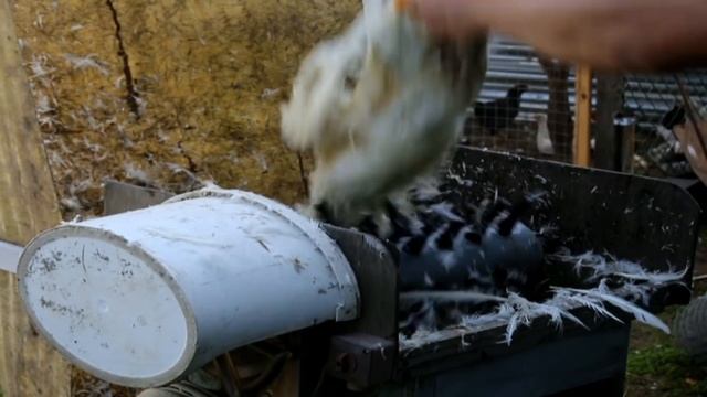 Перощипальная машина своими руками смотреть онлайн