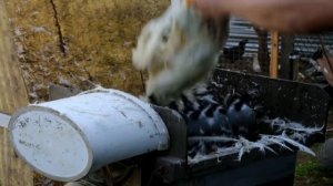 Перощипальная машина своими руками