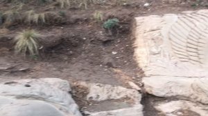 В Кушнаренково появился каменный лев и другие животные