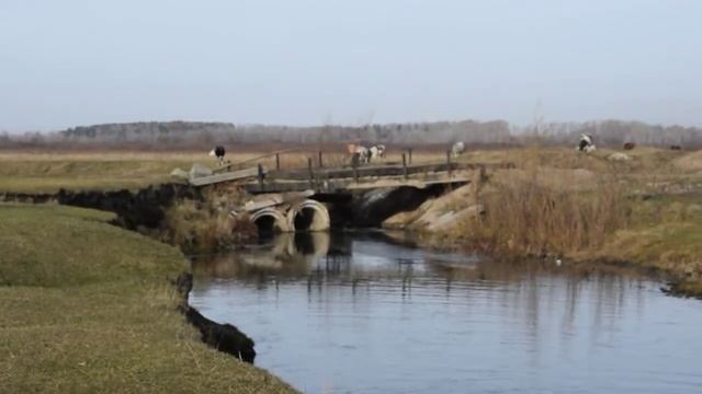 Река Чесноковка, её пойма и Велижановский мыс. смотреть онлайн