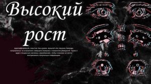 Самбинал на высокий рост:Р