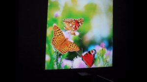 Обзор китайского  проектора Smart Idea Led 96 5500 люмен. Картинка с проектора