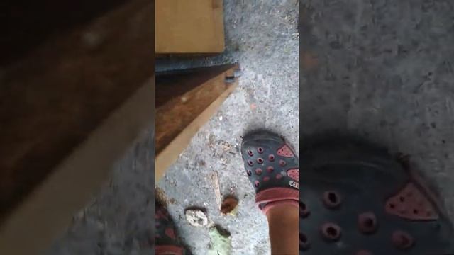 Уход за котами 39 серия:Я улучшаю кошачий дом смотреть онлайн