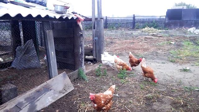 Землетрясение в Иркутске