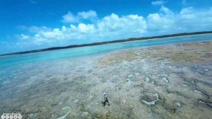 До слез красивая мелодия! Музыка удивительной красоты! Музыка Сергея Грищука