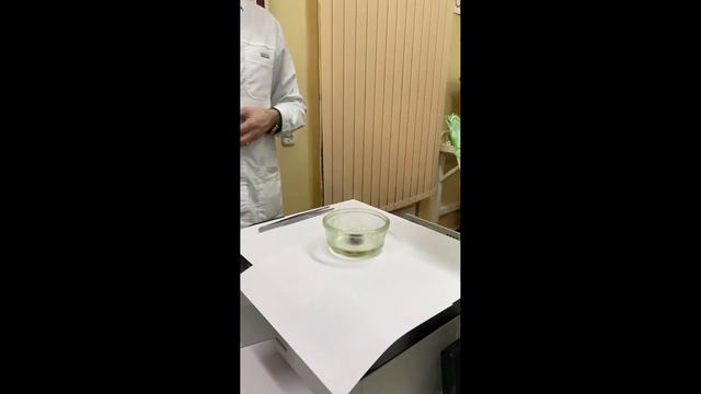 Фараонова змея