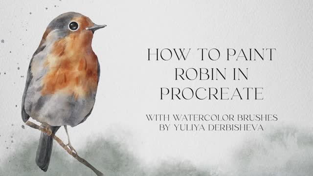 Как нарисовать акварельную птицу малиновку в Прокриэйт Procreate - пошаговый туториал процесс