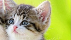 Утро доброе - красивые открытки