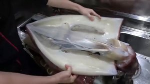 Разделка кальмара Cutting squid