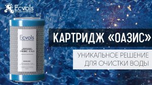 Картридж "Оазис" Уникальное решение для очистки воды в квартире и загородном доме до питьевой