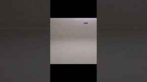 физра и булочка