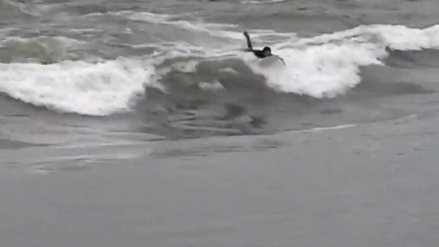 Montreal Surf Habitat 67 - 24 june 2010 - Julie смотреть онлайн