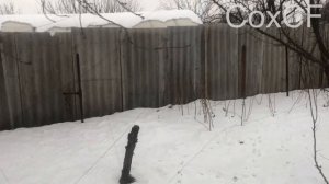 Сетка для ловли птиц CoxCF