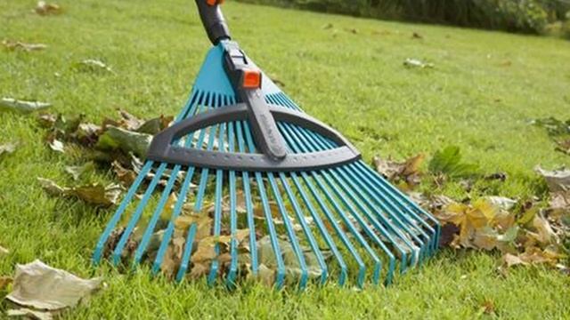 Что лучше-грибы или Наслаждаться ароматом леса?/Хуторок у Реки/Life in the village смотреть онлайн