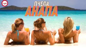 Пчела - Анапа