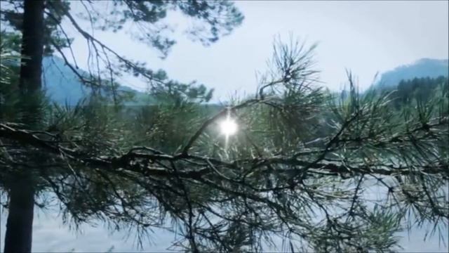 Так да светит свет ваш пред людьми смотреть онлайн