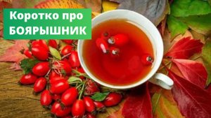 Боярышник. Польза и противопоказания .
