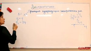 Физика. Электростатика, часть 1