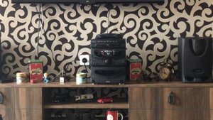 Philips Fw650c mini hi fi system ( philips in the best model)