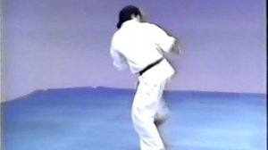 Ката Киокусинкай