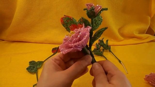 Камелия//Часть 3