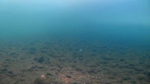 ПО РЕКАМ СИБИРИ НА РЫБАЛКЕ С КИРИЛЛОМ. ЛОВИМ ЕЛЬЦА ХАРИУСА. ПОДВОДНАЯ СЪЕМКА.