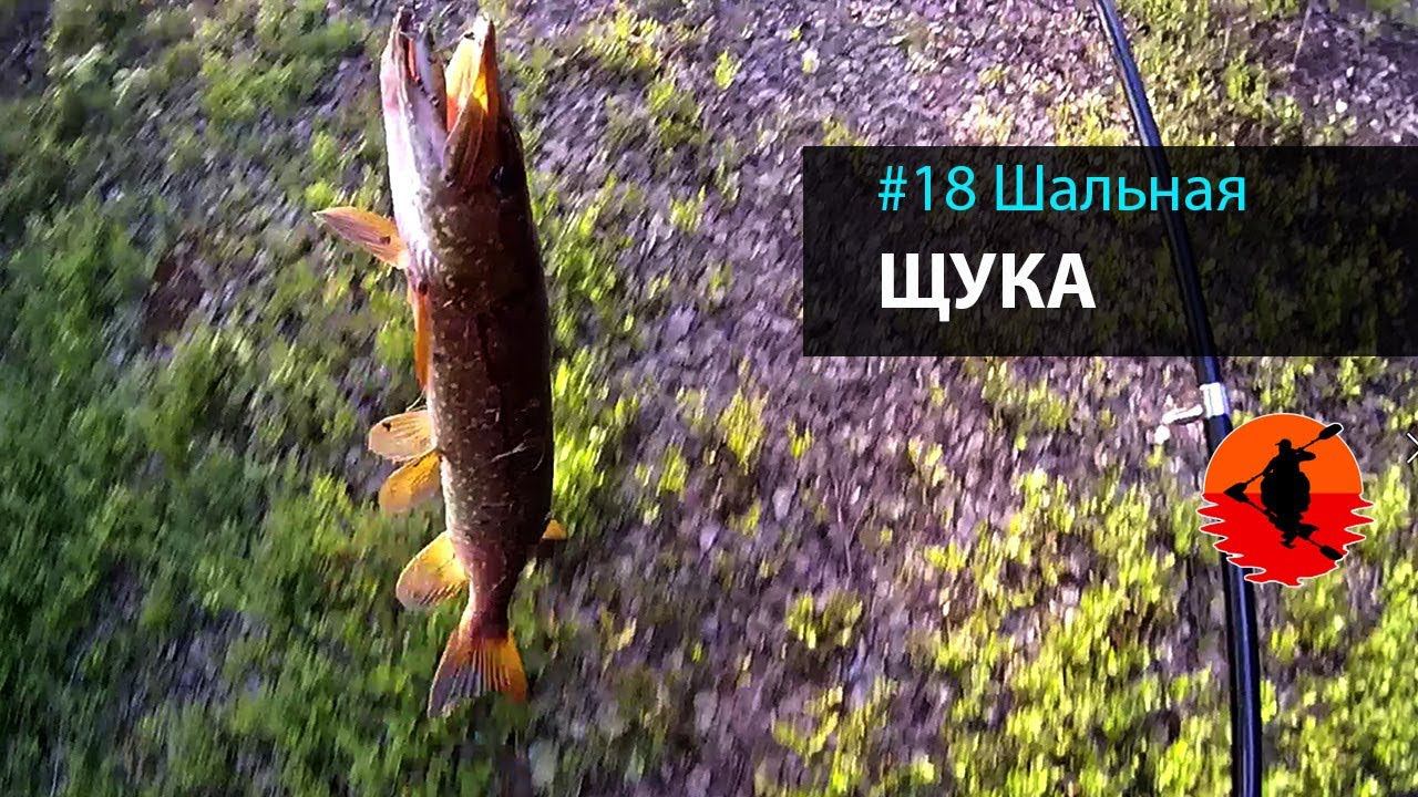 #18 Шальная Щука | Лоухи - Энгозеро 2017 | Приключения на байдарке