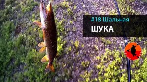 #18 Шальная Щука | Лоухи - Энгозеро 2017 | Приключения на байдарке