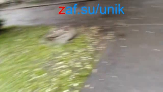 Как открыть домофон? vizit, cyfral, метаком, смотреть онлайн