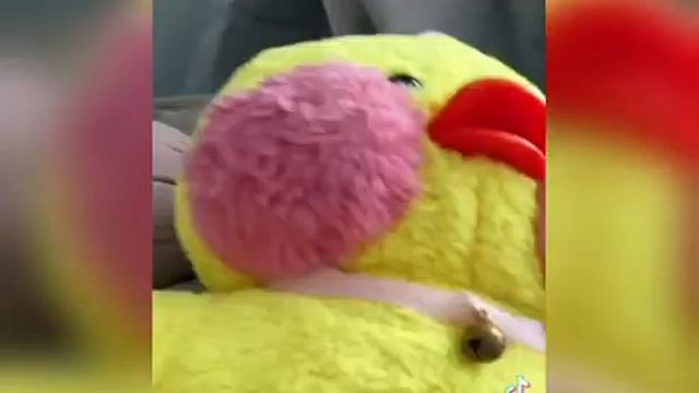 уточки ЛАЛАФАНФАН из ТТ смотреть онлайн