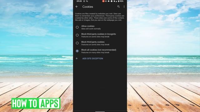 How To Enable Cookies On Android Phone смотреть онлайн