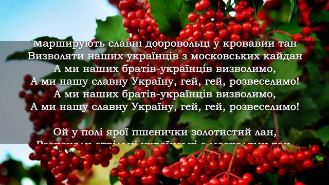 Ой у лузі червона калина [Українська музика] [Українські пісні]