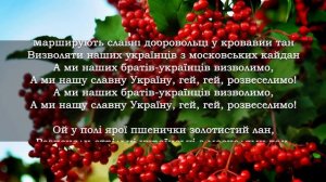 Ой у лузі червона калина [Українська музика] [Українські пісні]