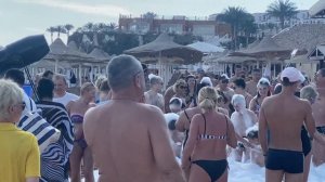 Sultan Gardens   beach анимация отеля султан гарден