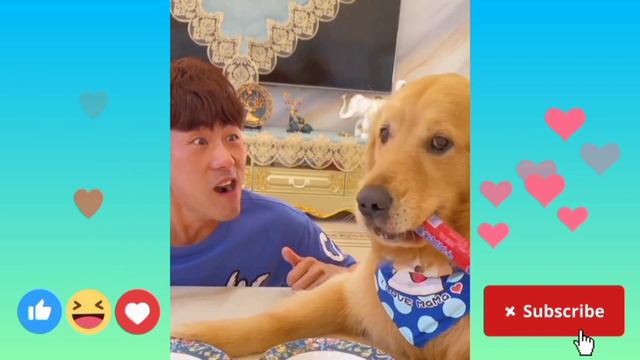 Смешные ВИДЕО с ЖИВОТНЫМИ до СЛЁЗ 😂 8 минут СМЕХА 😂 #смешныевидео #смешныеживотные