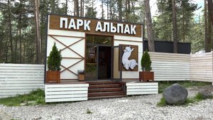 Милые животные в окружении суровых гор Кабардино-Балкарии