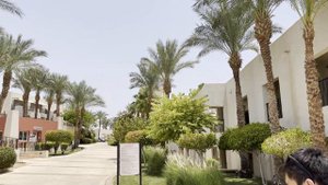 Grand Rotana Resort & Spa 5⭐️ / Общая информация об отеле