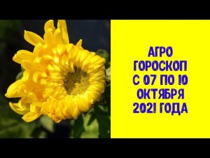 Агрогороскоп с 07 по 10 октября 2021 года ПЛЮС