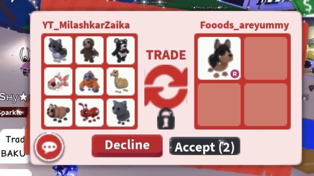 Как получить райд пета быстро и просто?!/адопт ми пет/ ADOPT ME PET смотреть онлайн