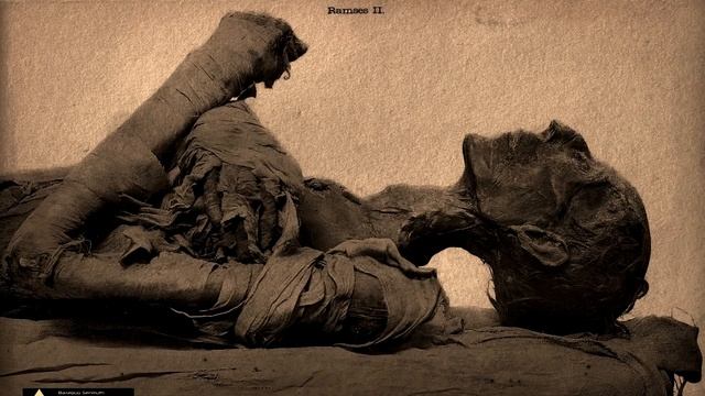 Мумия и мумиё. Трагедия египетских правителей ▲ [by Senmuth] смотреть онлайн