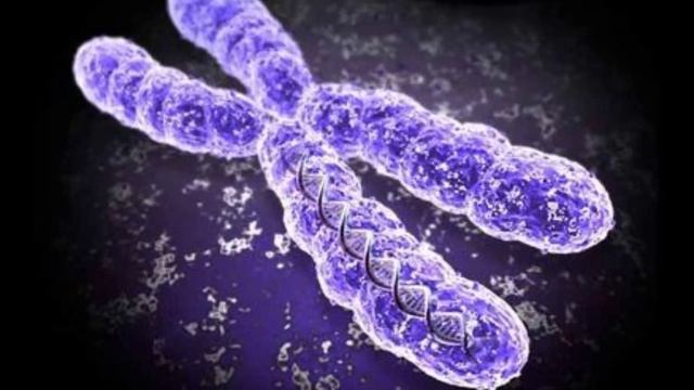 ИСКУССТВЕННАЯ ЖИЗНЬ - ИСТОРИЯ СОЗДАНИЯ ГОМУНКУЛА смотреть онлайн