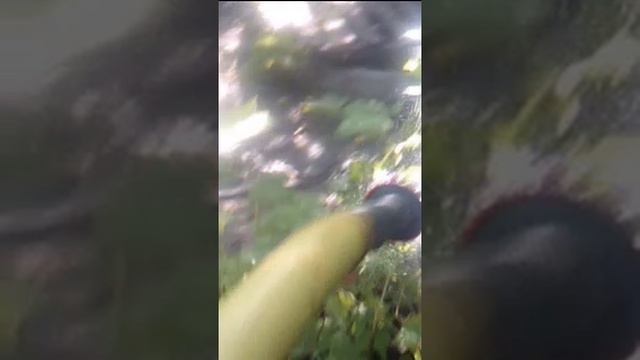 Полив1