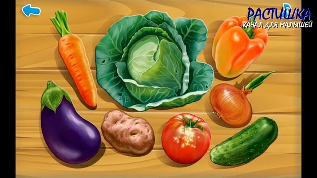 КТО ЕСТЬ КТО? ОВОЩИ. УЧИМ СЛОВА по картинкам. ПЕРВЫЕ слова для детей. смотреть онлайн