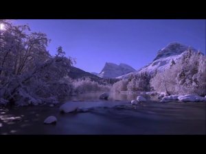 Афанасий Фет - Учись у них - у дуба, у берёзы